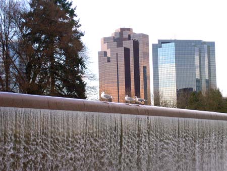 bellevue downtown park