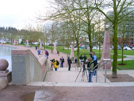 bellevue downtown park