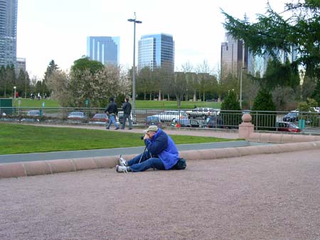 bellevue downtown park