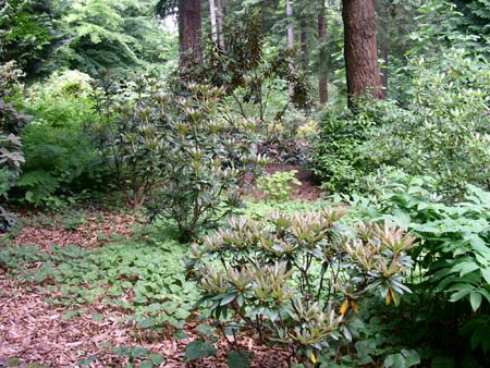 botanical garden