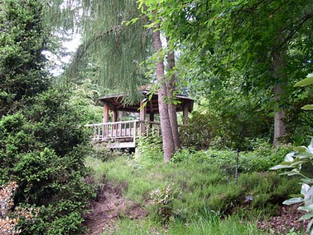 botanical garden