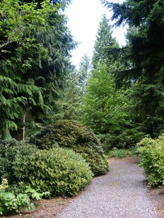 botanical garden