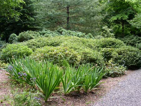 botanical garden