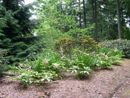 botanical garden