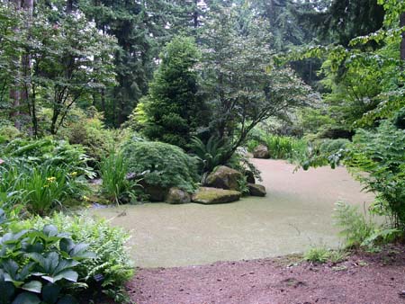 botanical garden