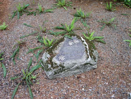 botanical garden