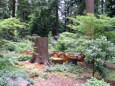 botanical garden