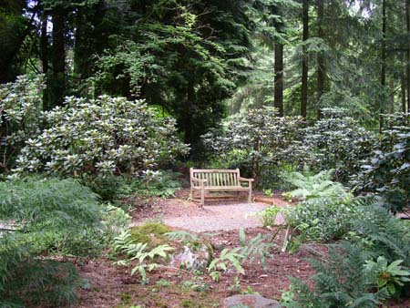 botanical garden