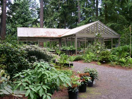 botanical garden