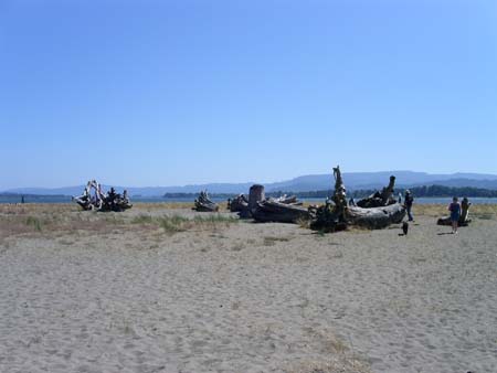 columbia river, skamokawa vista park