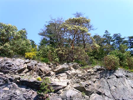 deception pass state park