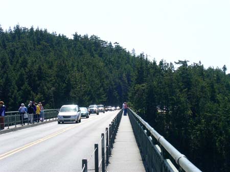 on the bridge