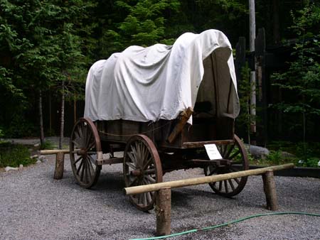 federation forest park, cart