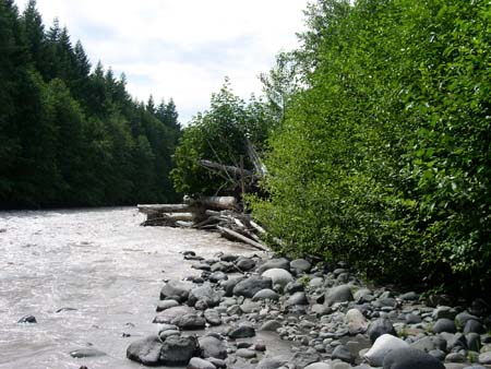 federation forest park, white river