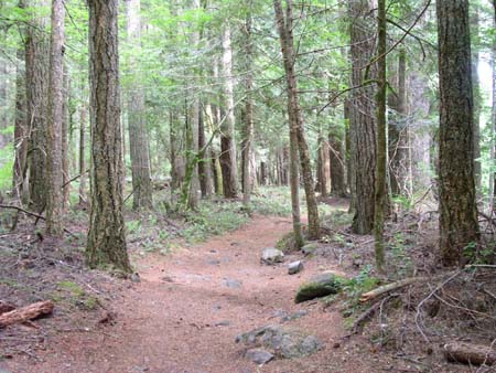 federation forest park
