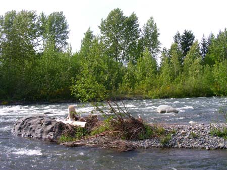 game farm wilderness park, white river