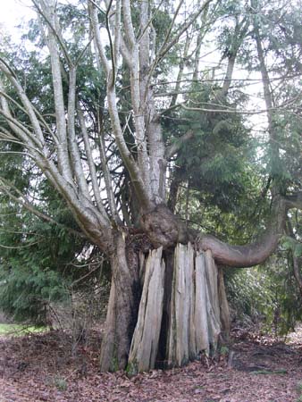 game farm wilderness park
