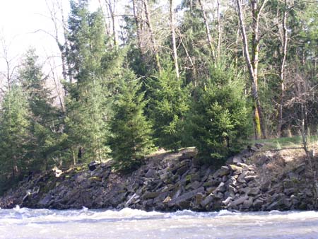 game park, white river