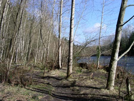 game park, white river
