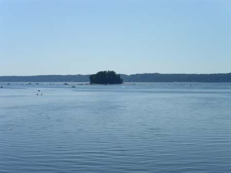 Cutts Island (or Deadman's
            Island) 