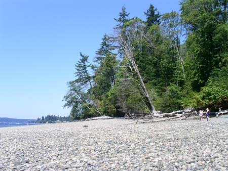 kopachuck state park