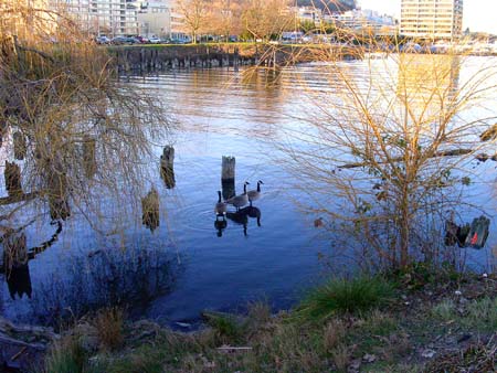 south lake union park