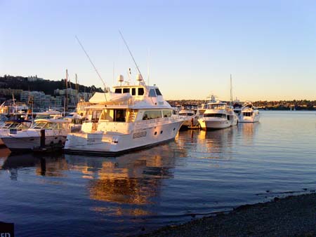 south lake union park