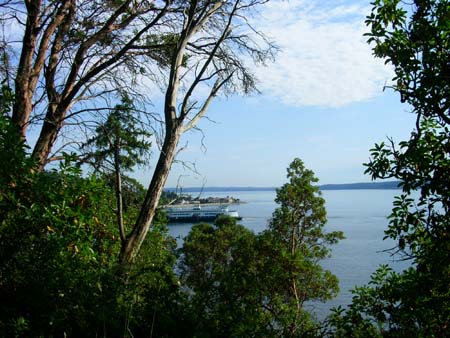 lincoln park