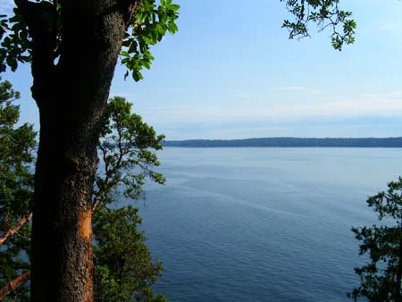 lincoln park