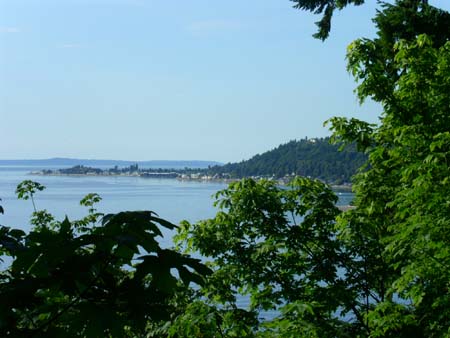 lincoln park