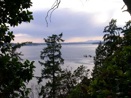 lincoln park
