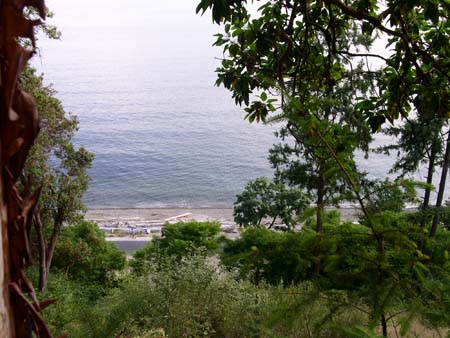 lincoln park