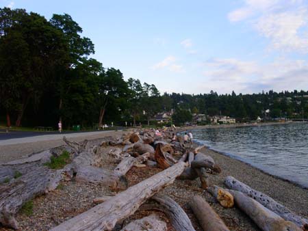 lincoln park, beach