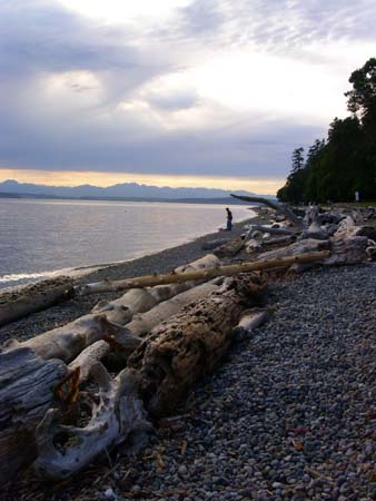 lincoln park, beach