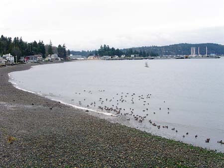 port of Manchester, beach