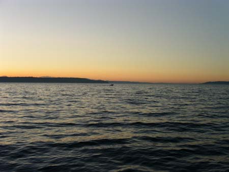 pic03