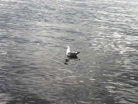 redondo beach