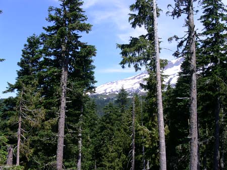 mount rainier