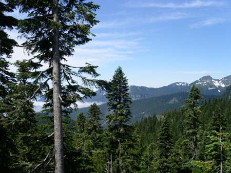 mount rainier