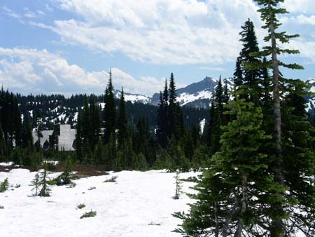 mount rainier