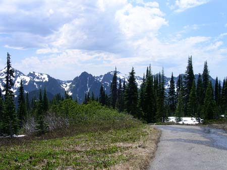 mount rainier