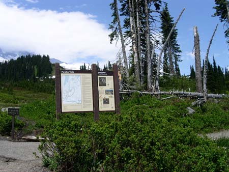 mount rainier