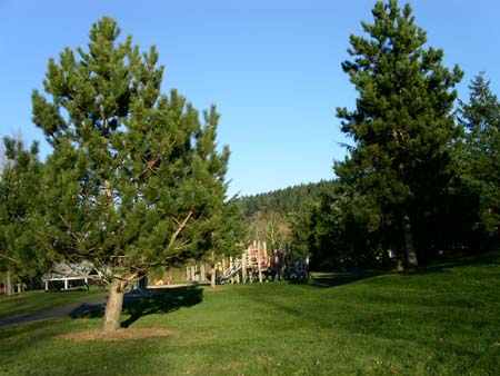 roegner park