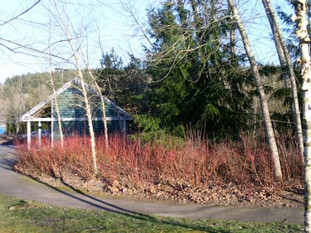 roegner park