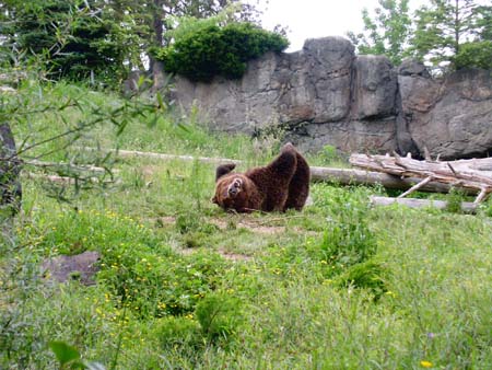 zoo