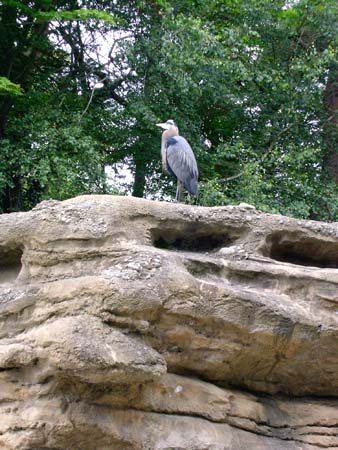 zoo