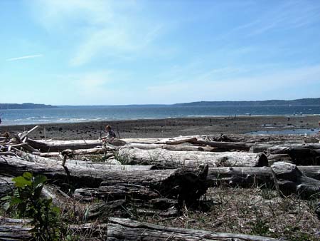 saltwater state park