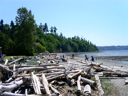 saltwater state park