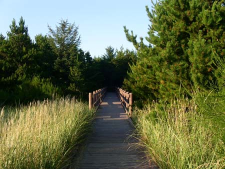 wildliff viewing bunker