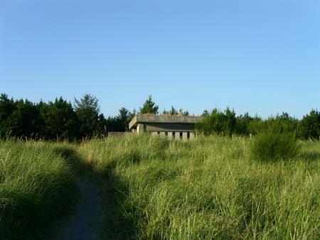 wildliff viewing bunker